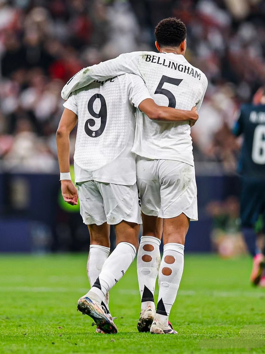 理性的分析 理性的分析