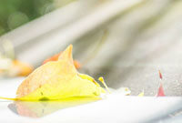 合规与业务 合规与业务