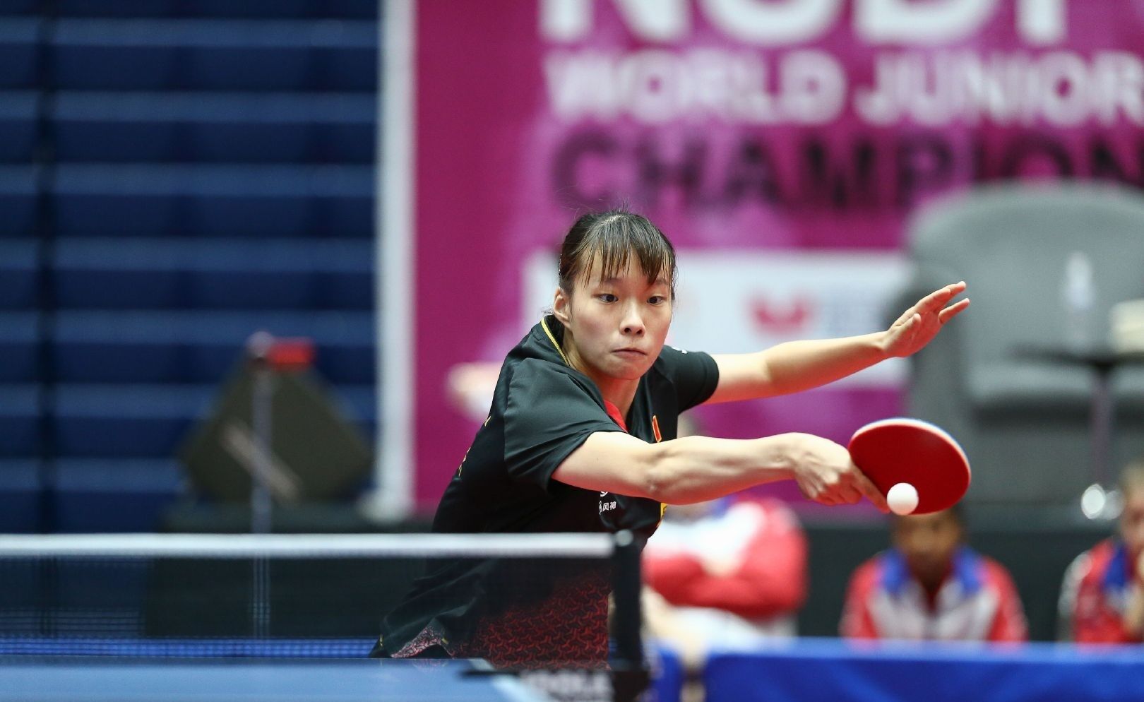 广州富力这 广州富力这