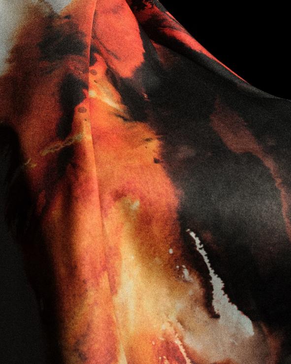 扎在土里 扎在土里